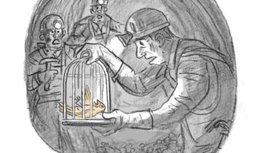 Colbert in a Coal Mine