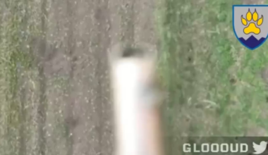 A russian invader gets beheaded by a drone-dropped grenade from Ukraine’s 15th Mountain Assault Battalion