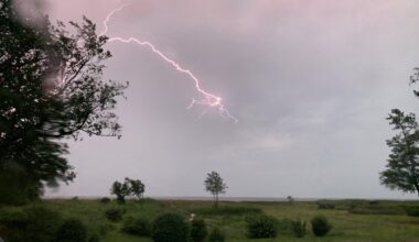 65-årig kvinde død efter lynnedslag.  En 65-årig kvinde sad under et træ, der formentlig blev ramt af lyn fredag. Kvinden er afgået ved døden.