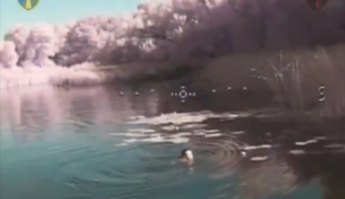 Ukrainian fiber-optic FPV drone hit a swimming Russian soldier. Published by the 57th Motorized Brigade. Vovchansk direction. July 2025 [Pbl. 13.07.2025]