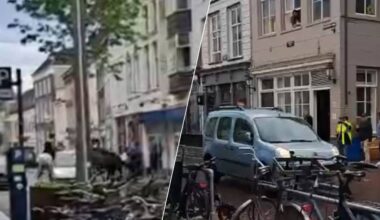 Links: de auto ramt de paarden, Rechts: de auto scheurt weg (Foto: privébeeld.)