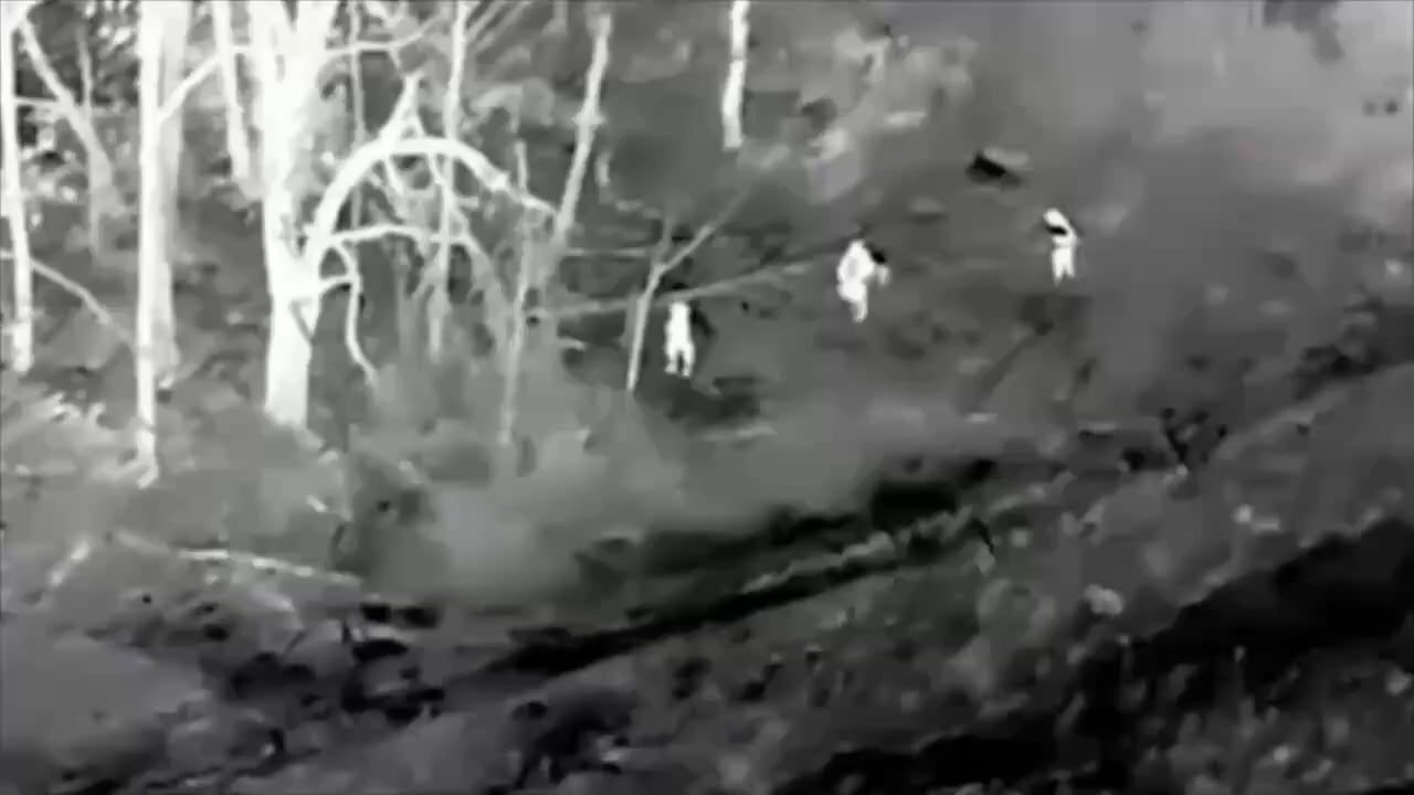 Ukrainian "Baba Yaga" drone bombs 3 Russian soldiers at night, Donetsk region | July 2025