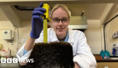 Toxic metals found in UK peatlands could pose health risk