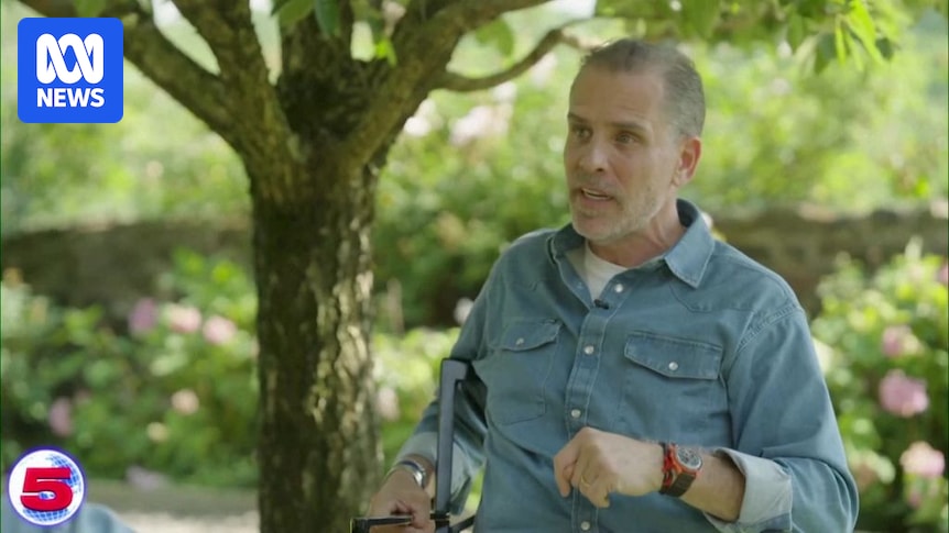 Hunter Biden criticises George Clooney and other Democrats for undermining his father