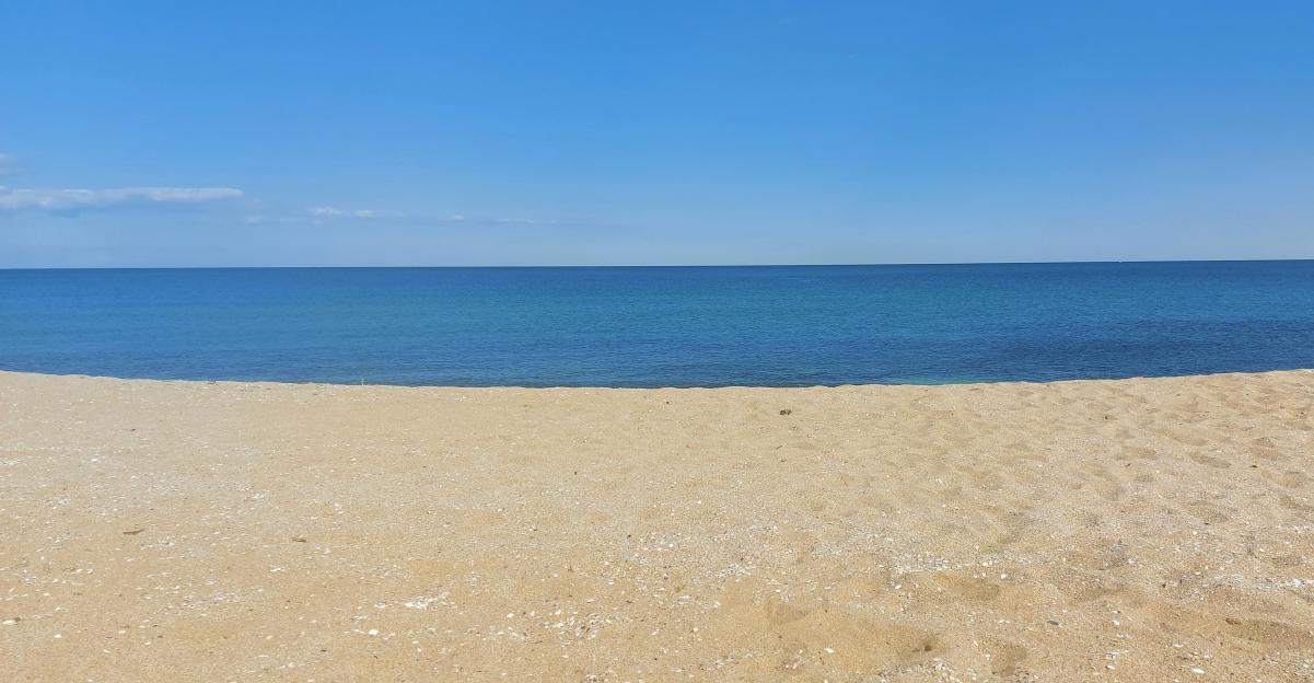 Bulgaria issues new weather warnings as soaring temperatures forecast for July 7 – The Sofia Globe