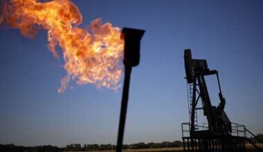 Oil Steadies as Traders Weigh Trump’s Russia Statement,