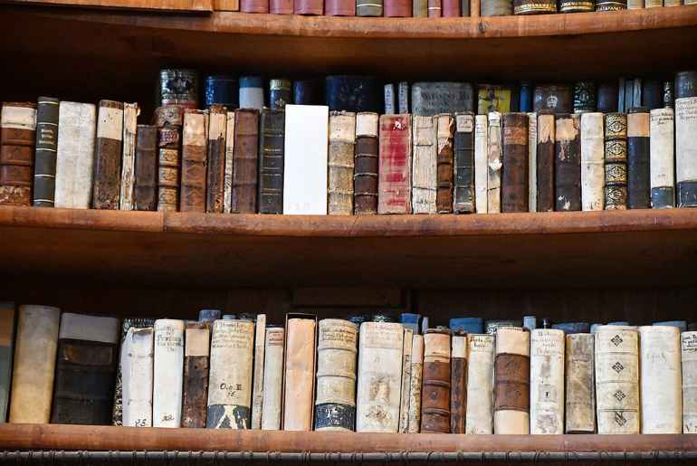 hungary library beetle