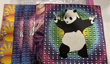 Massive 'rare' bust of tens of thousands of LSD tabs in Auckland