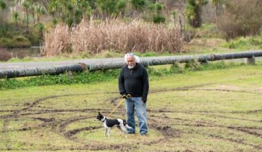 Bikers 'tearing up' parks frustrate neighbours