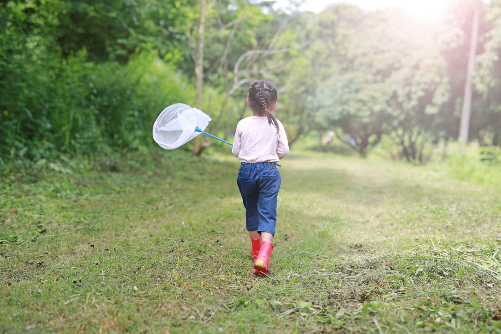 bug catching japan