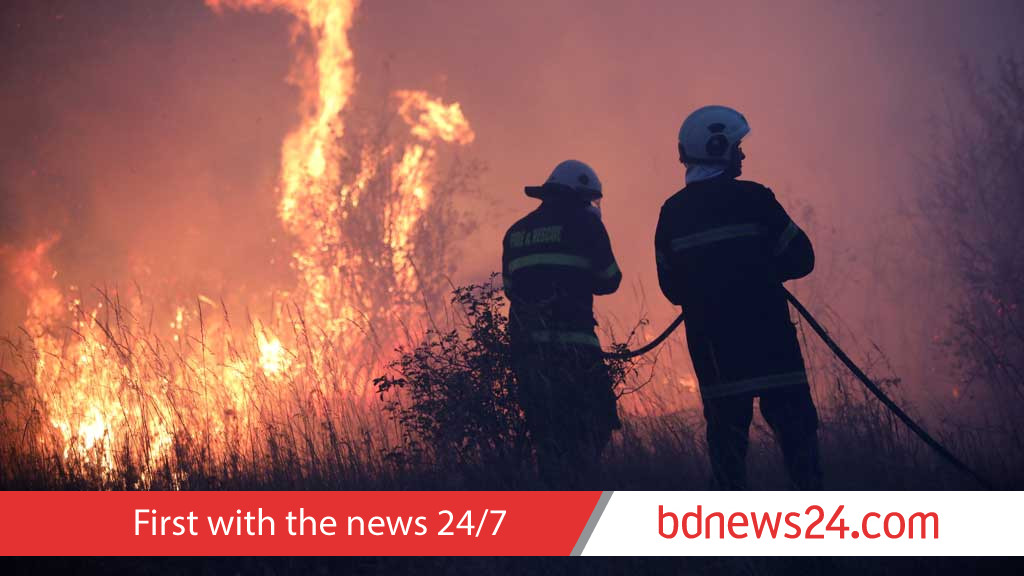 Wildfires rage across Bulgaria, destroying forests and homes
