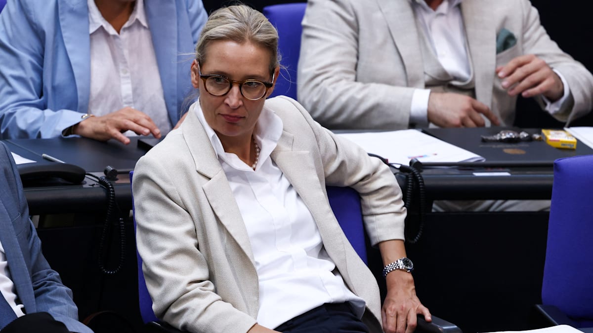 AfD-Sicherheitsmänner stellen Fotografen zur Rede – Weidel bittet um Entschuldigung
