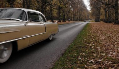 Memories of Autumn at the National Trust's Clumber Park.