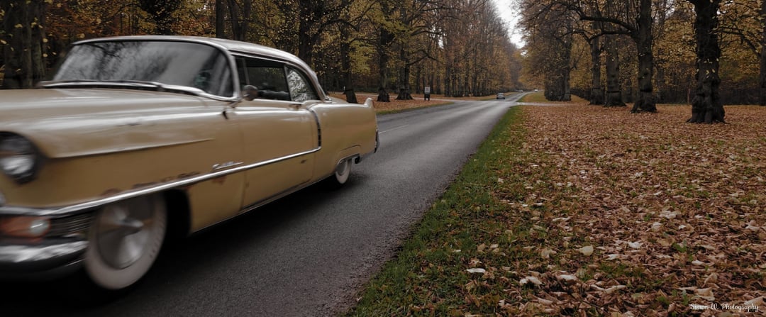 Memories of Autumn at the National Trust's Clumber Park.