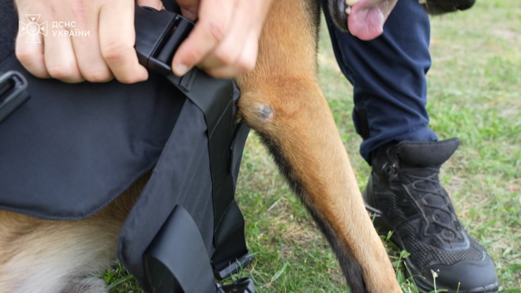 54 Bulletproof Vests Donated by the Howard G. Buffett Foundation to Protect Ukrainian Service Dogs in the Field.