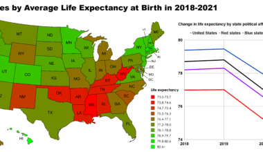 [OC] U.S. States by Life Expectancy at Birth in 2018-2021