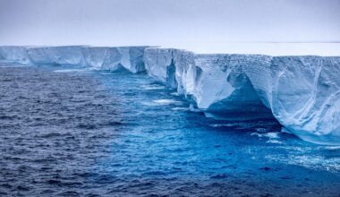 We have a surprising underwater ally in combatting climate change: zooplankton