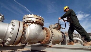 Iran’s natural gas exports down 30% in 2024: OPEC data