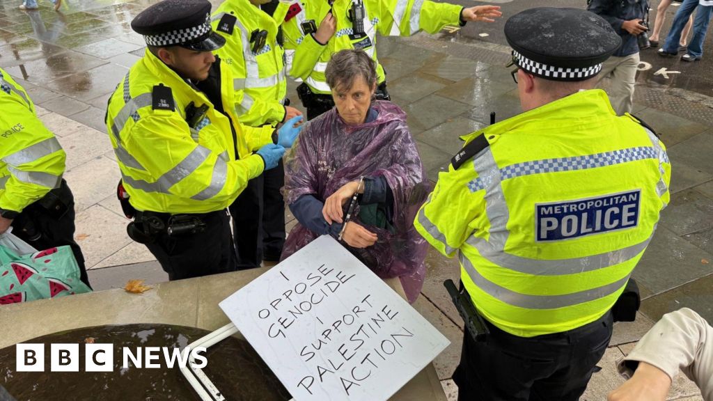 More than 100 arrests over Palestine Action ban protests