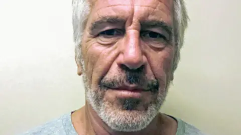 Getty Images Epstein's mugshot