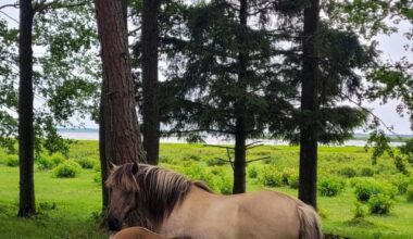 So beautiful Latvia's nature