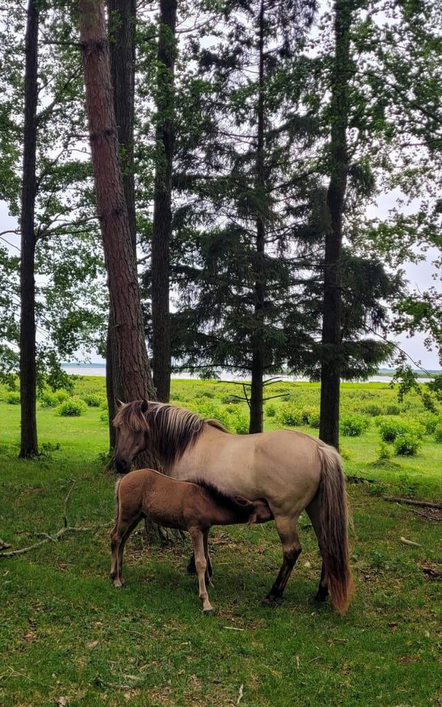 So beautiful Latvia's nature