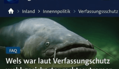 Walter Wels doch nicht unschuldig?