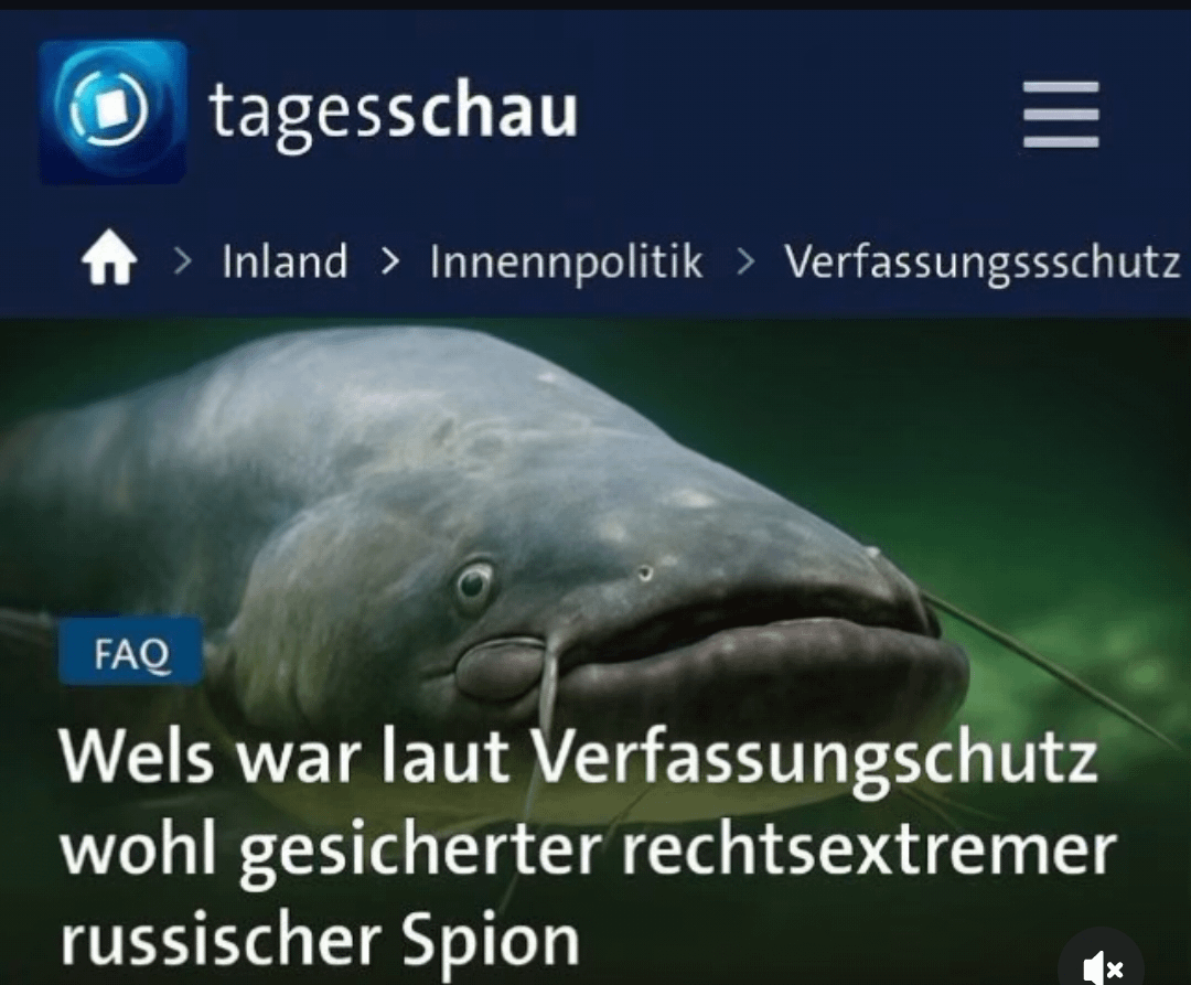 Walter Wels doch nicht unschuldig?