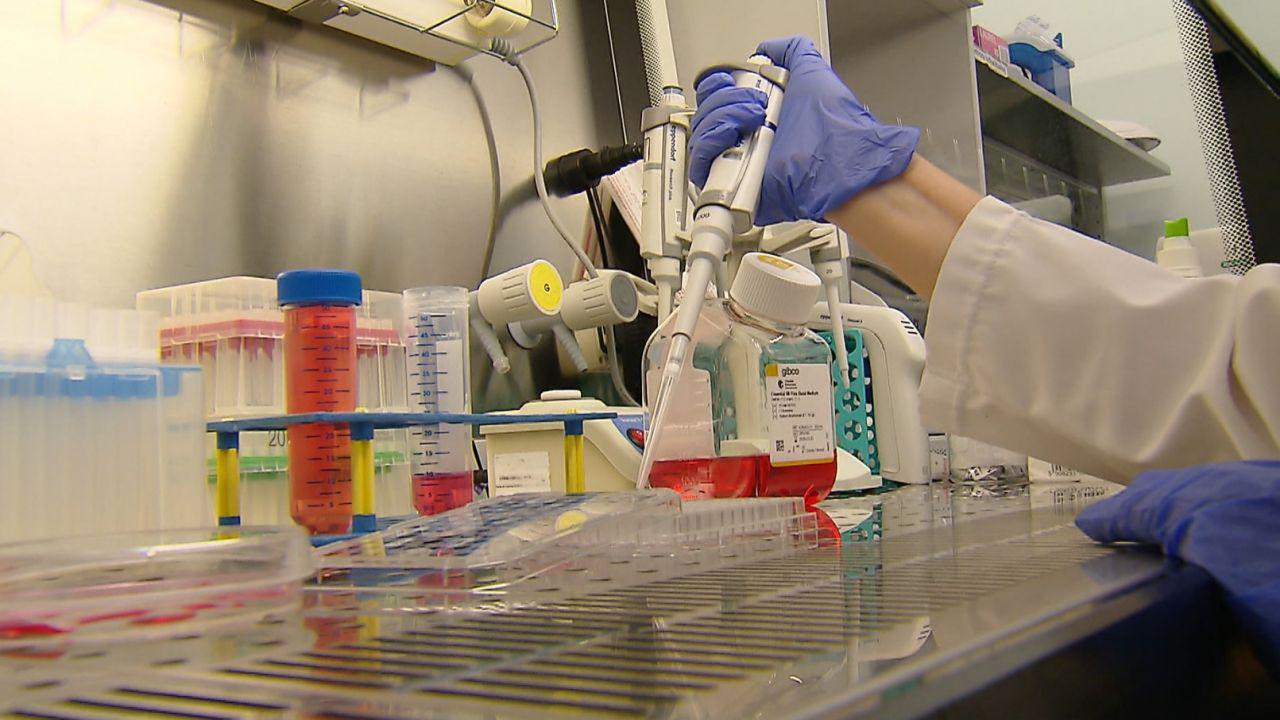 Stem cell therapy developed in Poland could revolutionize osteoarthritis treatment