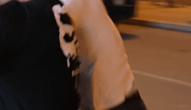 Hromadné zatýkanie demonštrantov v Srbsku