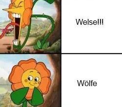Deutschland so ...