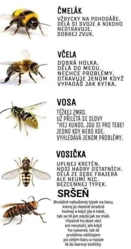 Každý ví...