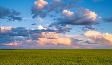 Canada’s Founding Farmers Did More Than Survive — They Engineered the Future