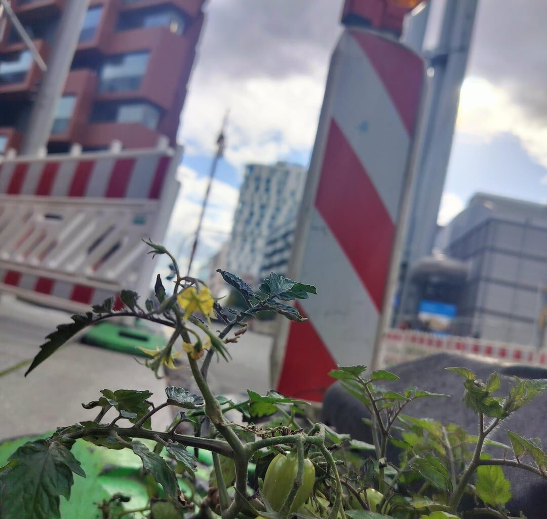 Urban "Gardening"