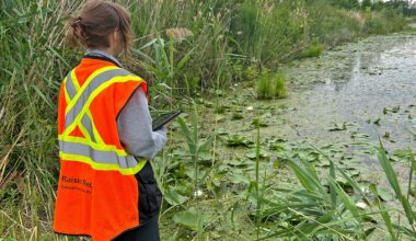 RRCA’s conservation sites offer opportunity to help protect the environment