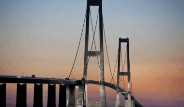 NETS nedbrud, resultatet af management by CFO