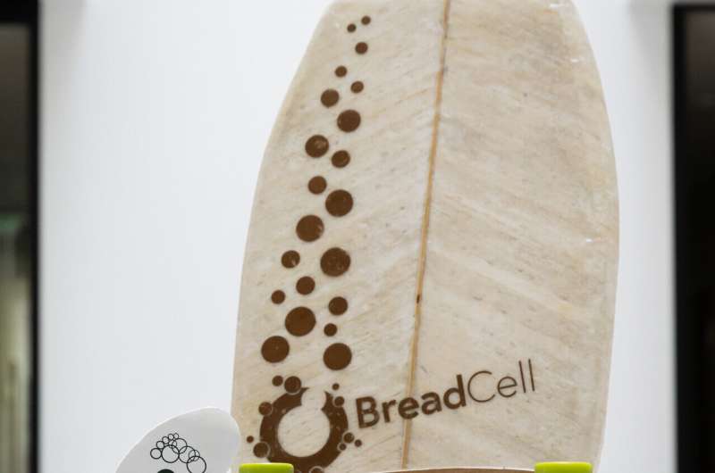 Cellulose instead of crude oil: team with participation of Graz University of Technology develops sustainable foams