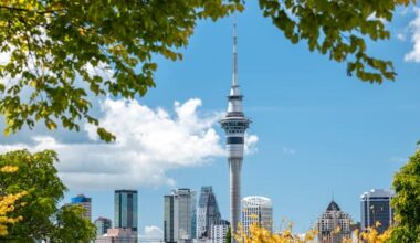 Five things we can do to cool our over-heating cities next summer