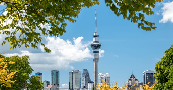Five things we can do to cool our over-heating cities next summer