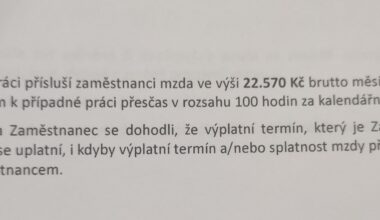 Nejmenovaný velký hobby market, 12 h směny, povinné přesčasy, žádné benefity, pouze minimálka během zkušebky. Podepsal jsem ze zoufalosti. Jsem píča?