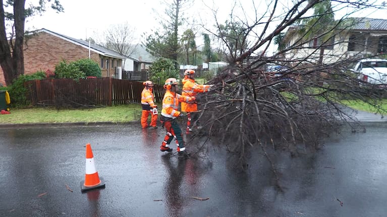 Clearing debris from a bob cyclone passing through New South Wales.