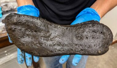 Giant 13-inch shoes found in ancient Roman fort near Hadrian’s Wall