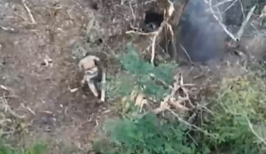 Russian FPV hits Ukrainian Soldier’s Head but does not explode