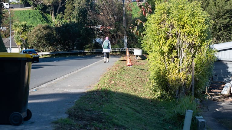 Courtney Rd residents are worried a pedestrian will be hit in one of the crashes that often occur on the road.