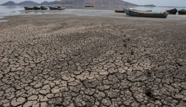Bishops’ conferences and councils appeal for ecological conversion