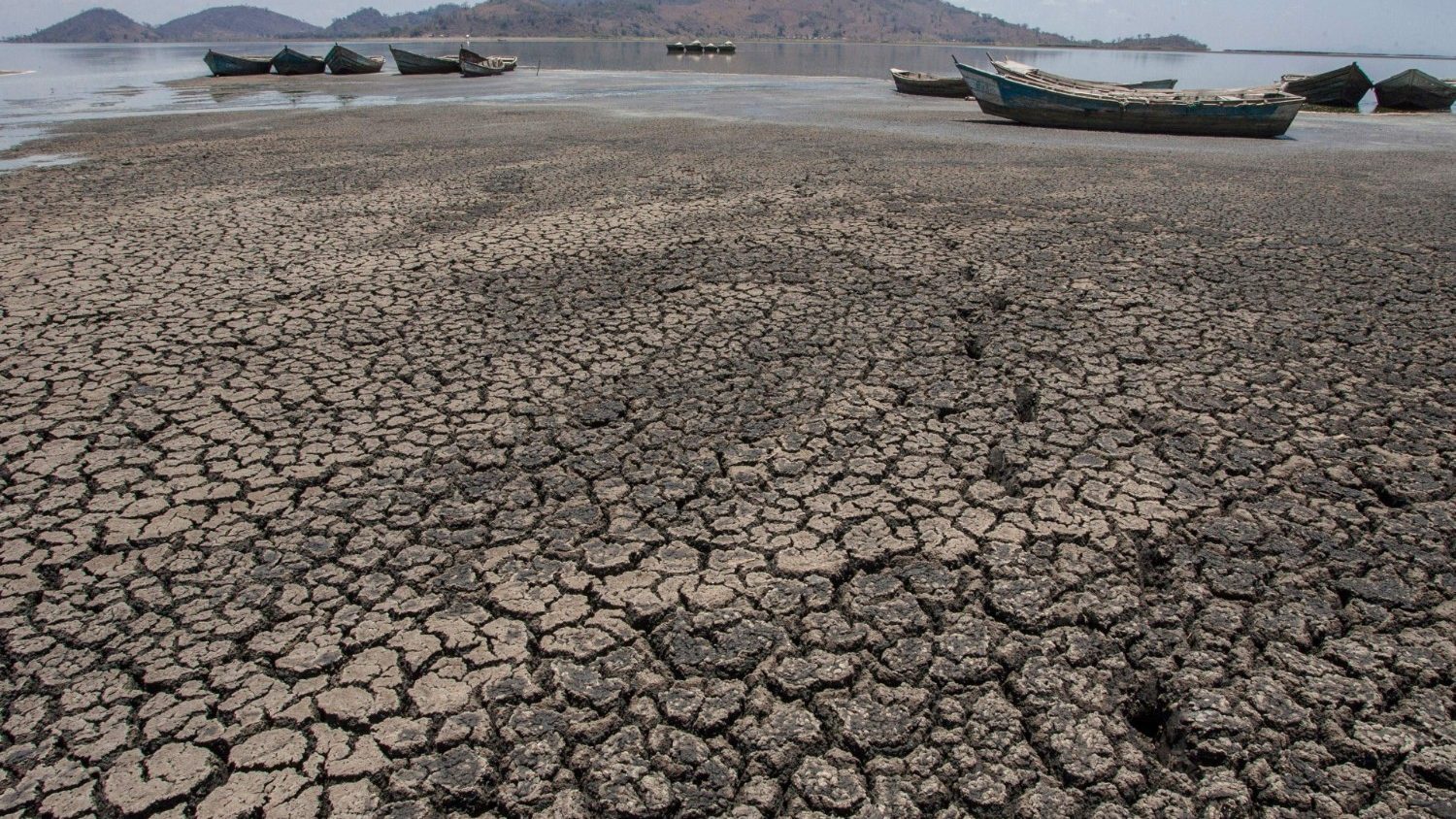 Bishops’ conferences and councils appeal for ecological conversion