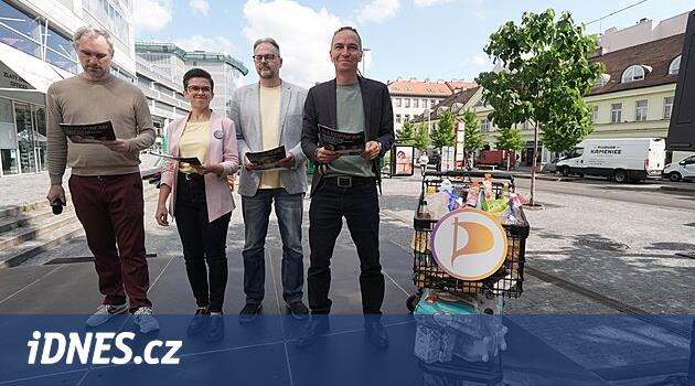 Piráti navrhují snížení DPH na potraviny a základní potřeby o 6 procent, dále zvýšení slevy na poplatníka či bonus na první dítě. Pro rodinu s dětmi to má znamenat úsporu až 35 359 korun. „Nenechme si namluvit, že žít od výplaty k výplatě je normální a mít děti je luxus,“ řekl Hřib
