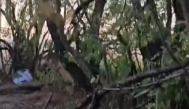 Last Footage from Smartphone of Eliminated Russian Soldier During His Final Motorcycle Assault in Sumy Region.