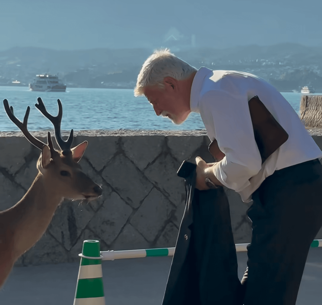 My Deer Friend Petr Pavel
