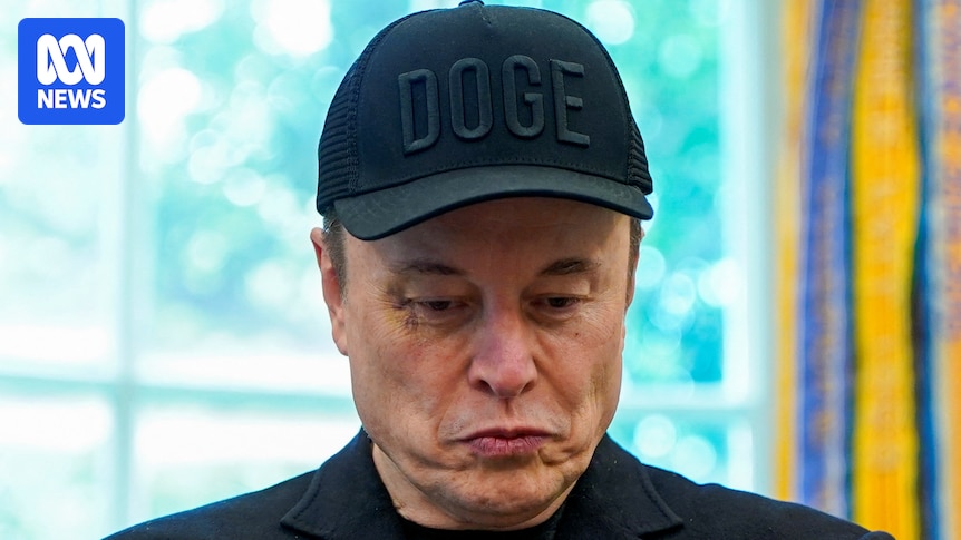 Trump suggests DOGE look at Musk subsidies to 'save a FORTUNE'